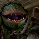 Image for article titled Why do some plants eat flesh?